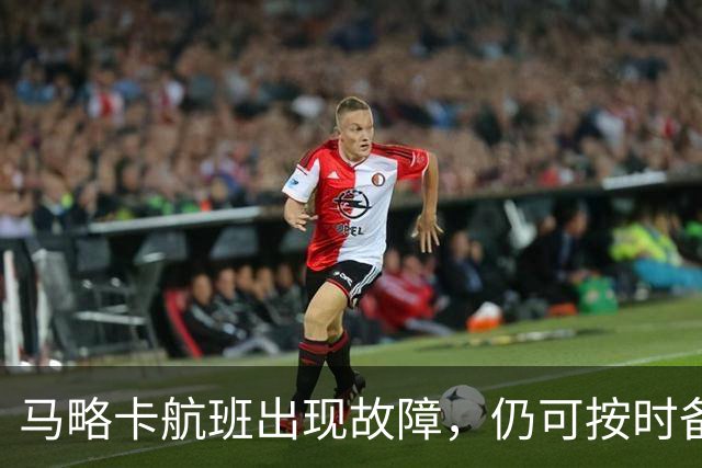 马略卡航班出现故障，仍可按时备战莱加内斯